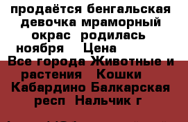 продаётся бенгальская девочка(мраморный окрас).родилась 5ноября, › Цена ­ 8 000 - Все города Животные и растения » Кошки   . Кабардино-Балкарская респ.,Нальчик г.